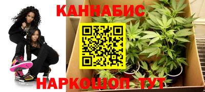 прущие крисы Новодвинск