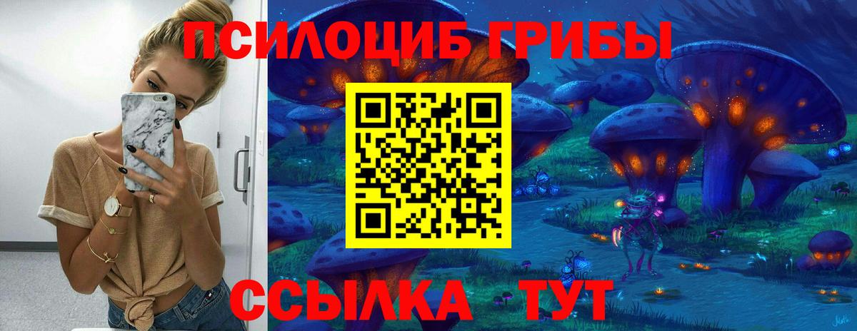 Новый Уренгой  Галлюциногенные грибы прущие грибы  где найти   Вход с VPN  Галлюциногенные грибы Psilocybe 